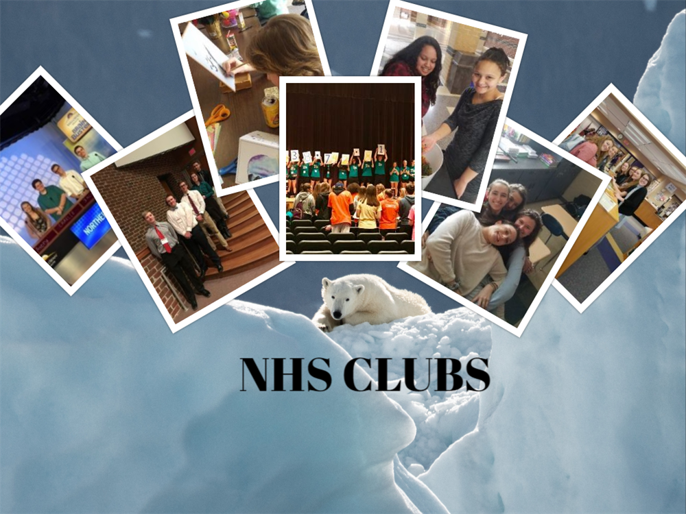 NHS Clubs Photo Collage 